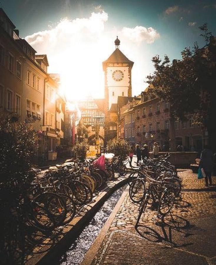 Deluxe Studio 9 In Der Altstadt Daire Freiburg im Breisgau Dış mekan fotoğraf